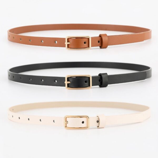 Pack de ceinture